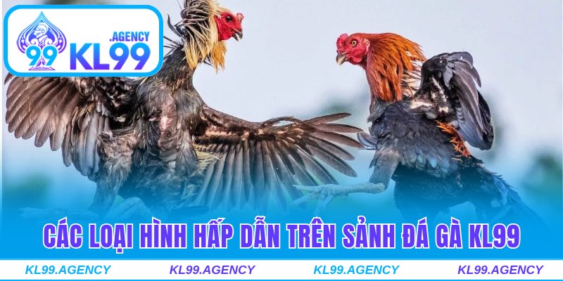 Các loại hình hấp dẫn có sẵn trên sảnh đá gà KL99