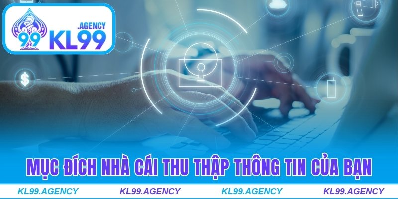 Mục đích nhà cái thu thập thông tin công khai của bạn