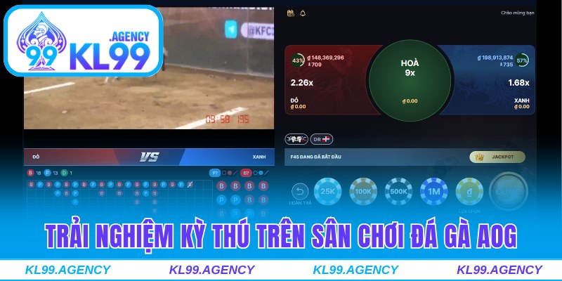 Trải nghiệm kỳ thú trên sân chơi đá gà AOG danh tiếng